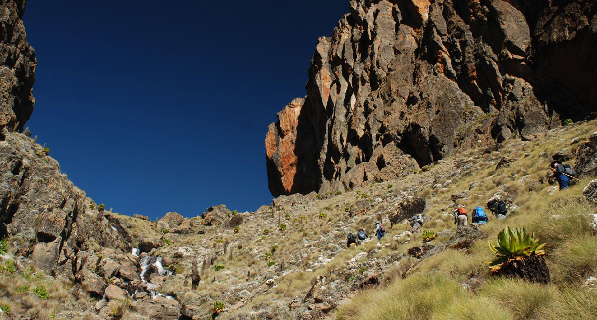 Trekkers ascending the Sirimon Route on Mount Kenya